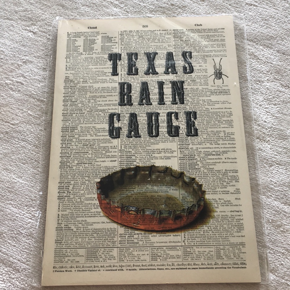 NWT Vintage Dictionary Art